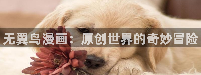 韩漫漫画热门韩漫有哪些好看的：